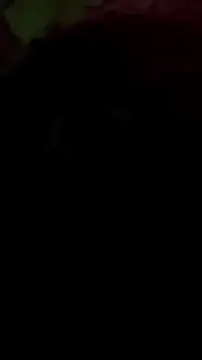 Snapshot of msharshii chatting on 17, 1, 2025 msharshii online show from 17, 1, 2025