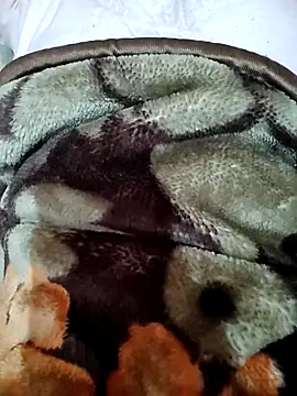 Snapshot of msharshii chatting on 25, 12, 2024 msharshii online show from 25, 12, 2024