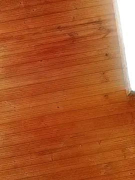 Snapshot of Darly_Gomez chatting on 1, 3, 2025 Darly Gomez online show from 1, 3, 2025