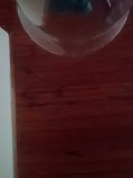 Snapshot of Darly_Gomez chatting on 17, 2, 2025 Darly Gomez online show from 17, 2, 2025