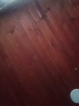 Snapshot of Darly_Gomez chatting on 3, 3, 2025 Darly Gomez online show from 3, 3, 2025