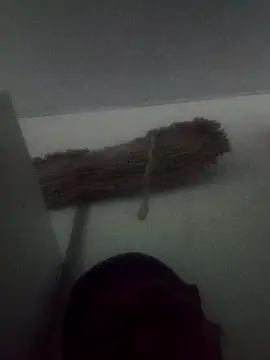 Snapshot of Darly_Gomez chatting on 9, 2, 2025 Darly Gomez online show from 9, 2, 2025