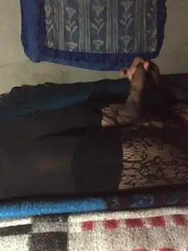 manuamador online show from 4, 12, 2025