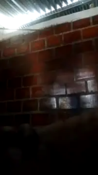 julissh online show from 5, 1, 2025