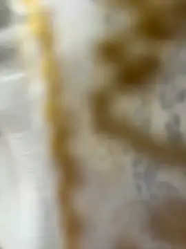 HoneyBearCpl online show from 29, 10, 2025