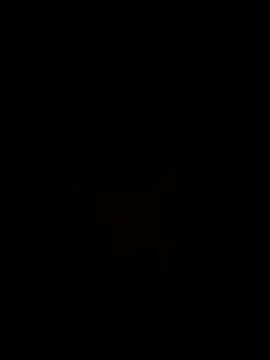 FrankJake99 online show from 5, 10, 2025