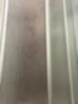 FrankJake99 online show from 8, 10, 2025