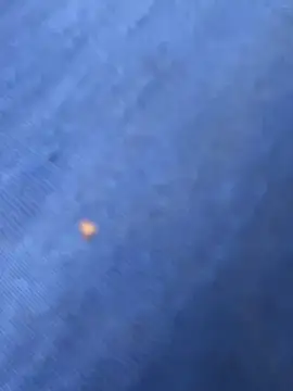 Snapshot of United3 chatting on 9, 10, 2025 United3 online show from 9, 10, 2025