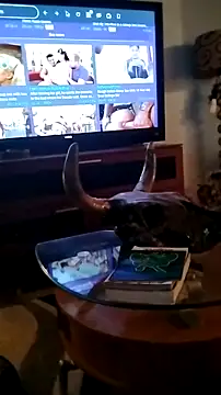 Analgapingspecialist71269 online show from 15, 1, 2026