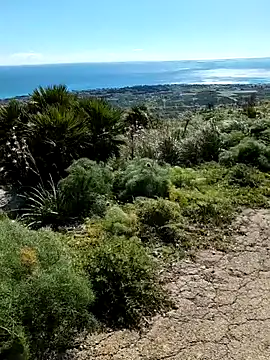 Samira-Summer online show from 22, 2, 2026