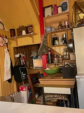 zenzero87 online show from 29, 12, 2024