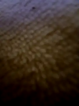 houy111111 online show from 3, 2, 2026