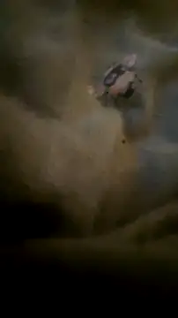 houy111111 online show from 23, 9, 2025