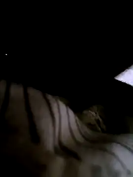 houy111111 online show from 9, 1, 2026