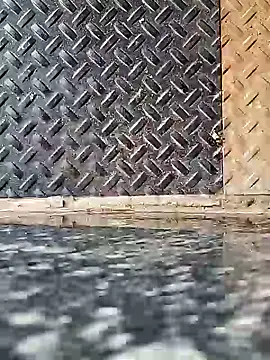 Coastal online show from 7, 2, 2025