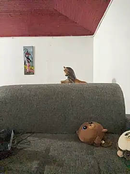 Junihn0 online show from 26, 10, 2025