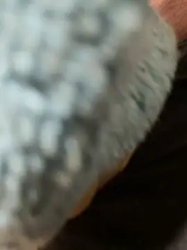 edgher646 online show from 27, 2, 2026