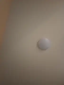 Snapshot of fertolcift chatting on 31, 1, 2025 fertolcift online show from 31, 1, 2025