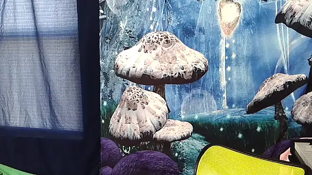  hellostormy  online show from 8, 3, 2026