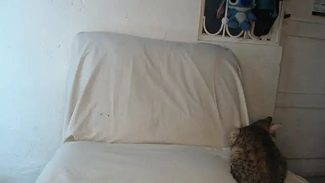 pervertsteens3 online show from 24, 10, 2025