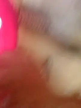 frotasso online show from 14, 2, 2026