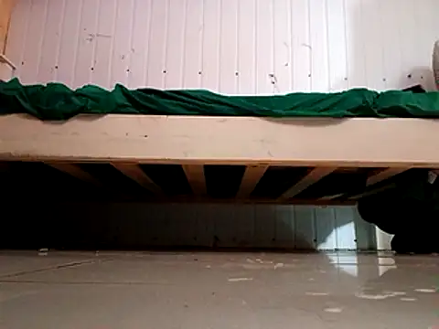 frotasso online show from 31, 1, 2025