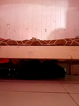 frotasso online show from 8, 3, 2026