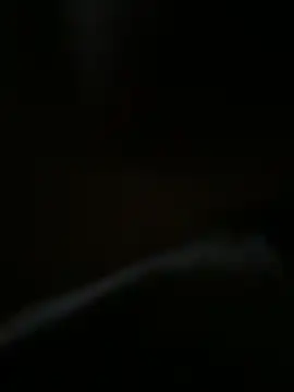 bra zuka online show from 13, 12, 2024