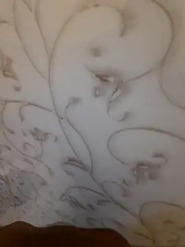 Ritikdesi online show from 14, 2, 2025