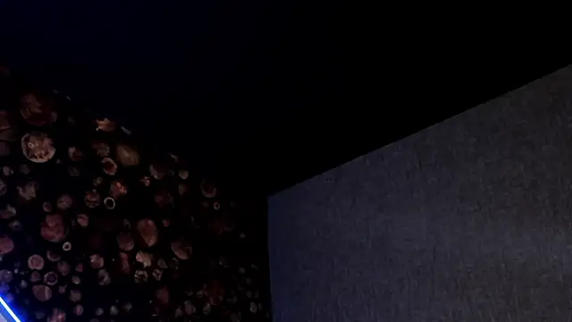 ArtemisaBlake online show from 15, 3, 2025