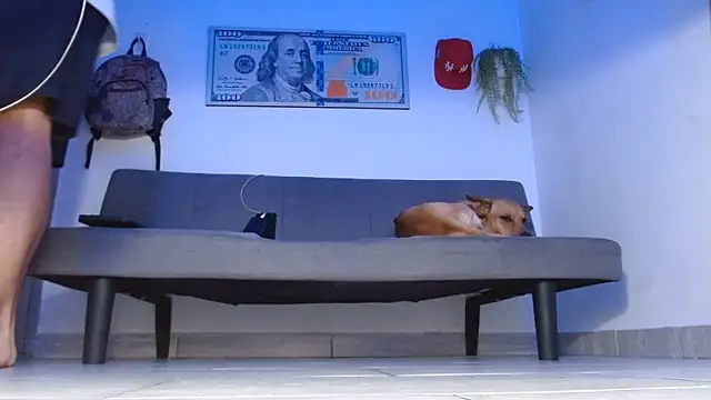 boss of cash online show from 14, 5, 2026