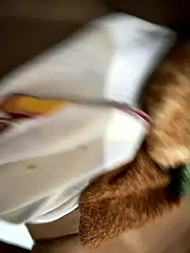 Snapshot of Gordelicia03 chatting on 10, 1, 2026 Gordelicia03 online show from 10, 1, 2026