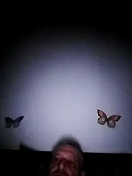 Husoban online show from 25, 11, 2025