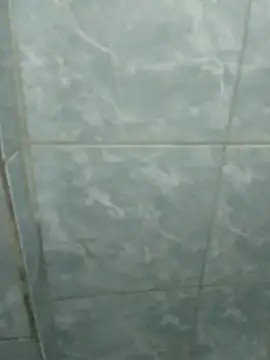 Pretordr online show from 12, 3, 2025