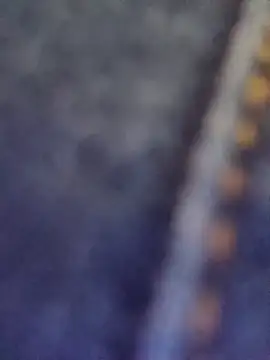 sasi luna online show from 4, 4, 2026