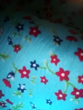 bhavanitelu online show from 7, 11, 2025