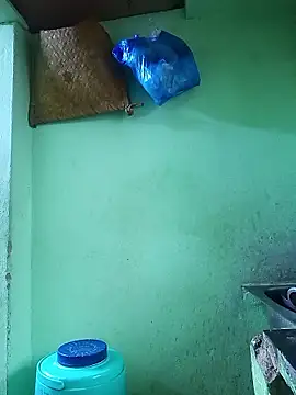 bhavanitelu online show from 12, 1, 2026