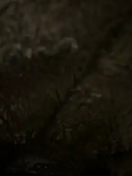 Snapshot of hamoo23p chatting on 22, 2, 2026 hamoo23p online show from 22, 2, 2026