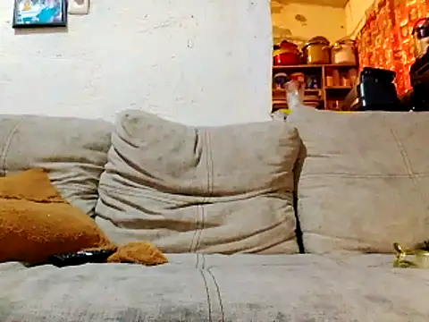 NewBe9D9 online show from 23, 11, 2025