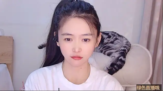 CN-Babycat online show from 11, 3, 2026