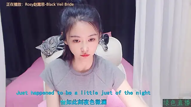 CN-Babycat online show from 17, 11, 2025