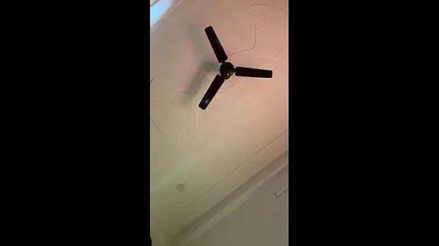 Lush puja online show from 4, 11, 2025