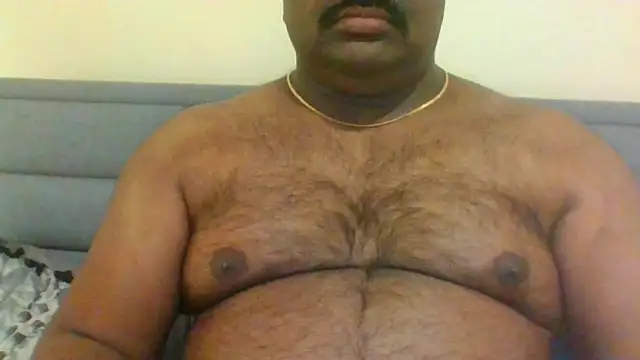 indianbearbot online show from 26, 1, 2025