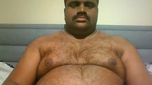 indianbearbot online show from 15, 12, 2024