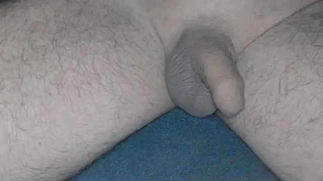 Snapshot of cs1512 chatting on 26, 2, 2025 cs1512 online show from 26, 2, 2025