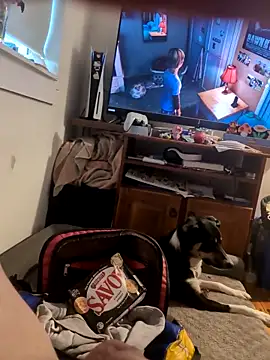 biggnipz online show from 7, 11, 2025