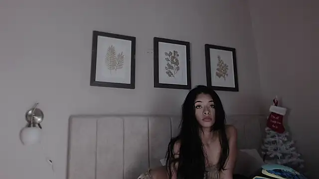  dakota a online show from 19, 12, 2025