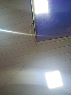 ppatriciarabello online show from 24, 11, 2025