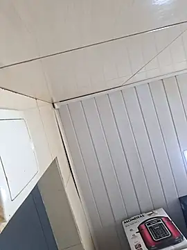 ppatriciarabello online show from 17, 11, 2025