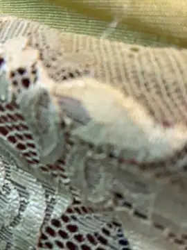 Snapshot of honeyboobies7249 chatting on 22, 2, 2026 honeyboobies7249 online show from 22, 2, 2026